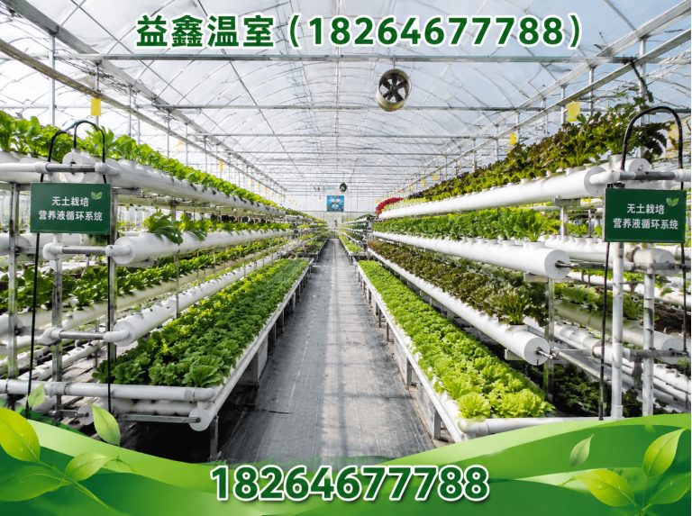 寿光市益鑫温室展示图