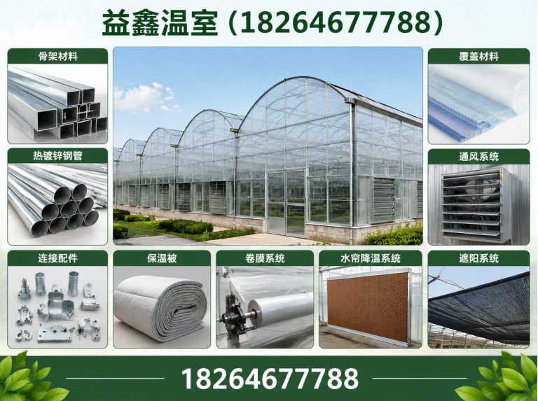 寿光市无土栽培大棚展示图